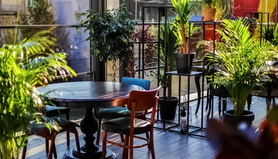 هتل گالری پالاس تفلیس